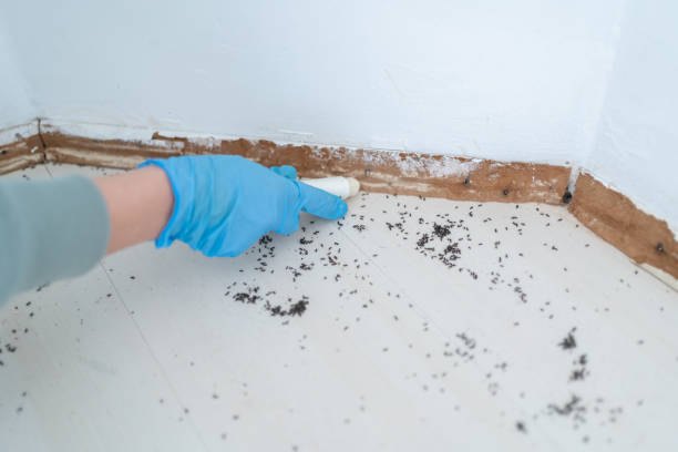 Best Residential Pest Control  in Garden Grove, FL